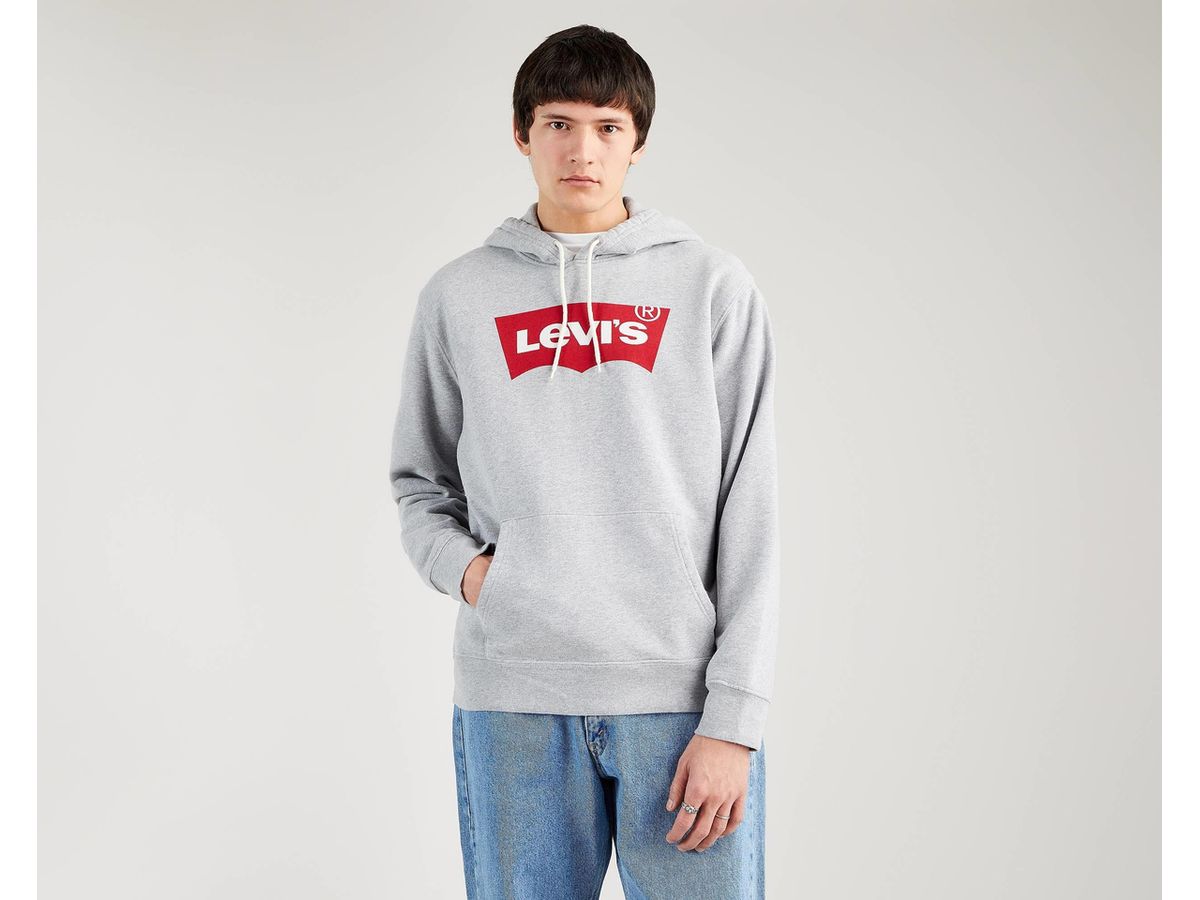 Standard Graphic Hoodie Levi s