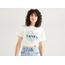 Varsity Graphic Tee