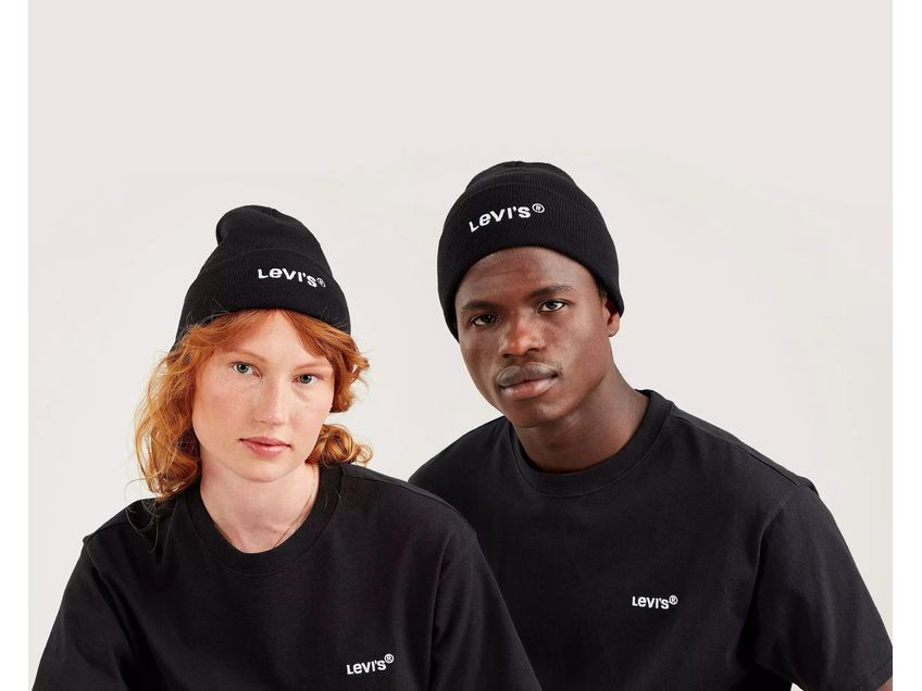 Wordmark Beanie Levi s