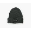 Levi's® Chunky Beanie