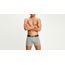 Levi's® Basic Boxer Brief - 2 Pack - gallery #1